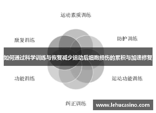 如何通过科学训练与恢复减少运动后细胞损伤的累积与加速修复